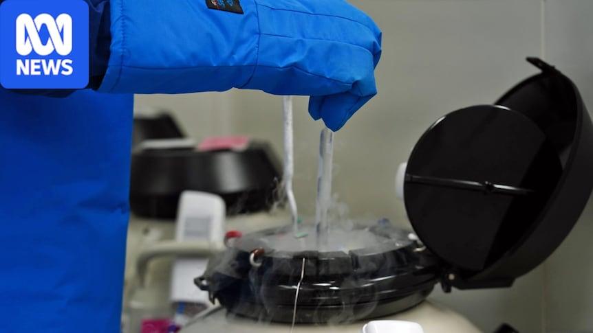 Brisbane Court to Decide on Drug Trafficker's Appeal for Egg Freezing While Incarcerated