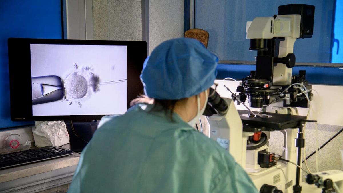 Un embrione è stato impiantato alla donna sbagliata durante un percorso di fecondazione assistita