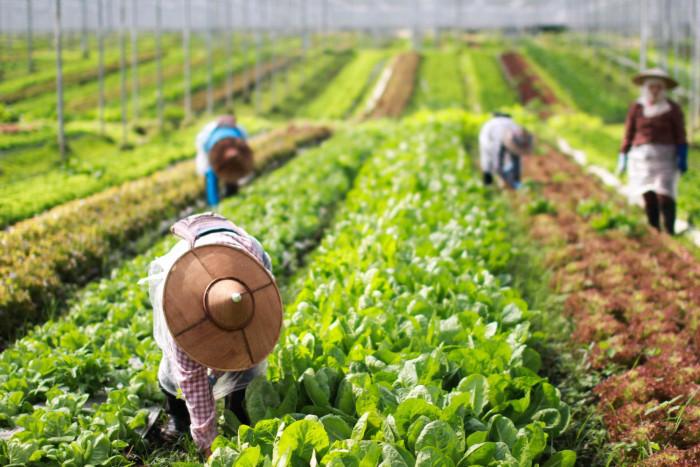 Asean's green growth push