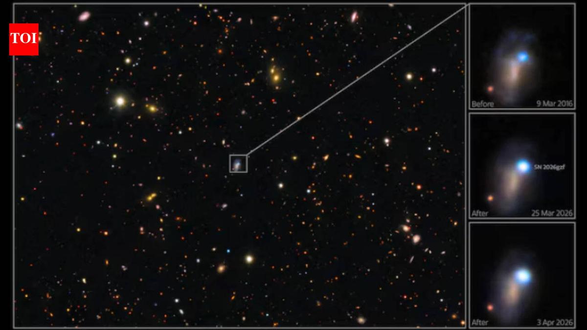 Astronomers caught the first sign of a star 30 times more massive than the Sun exploding, then tracked its supernova for
