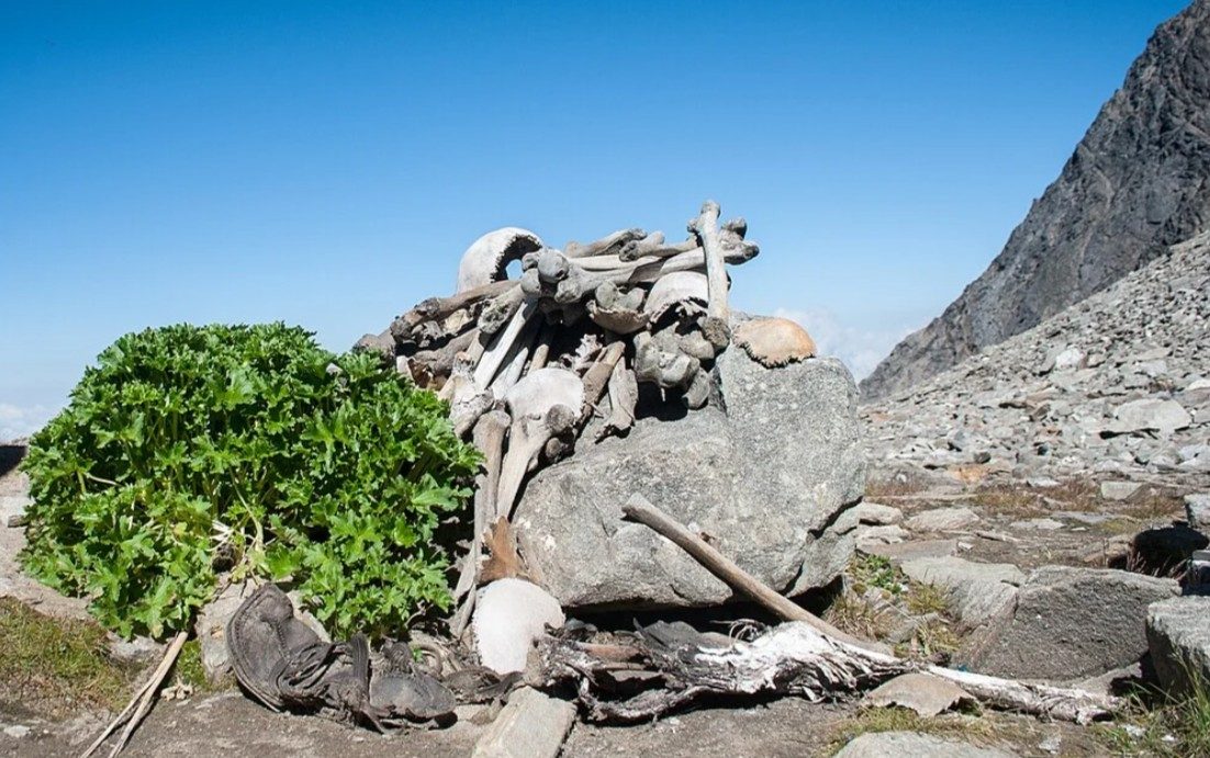 Roopkund Trek 2026 - Cost, Itinerary, Difficulty & Best Time to Visit