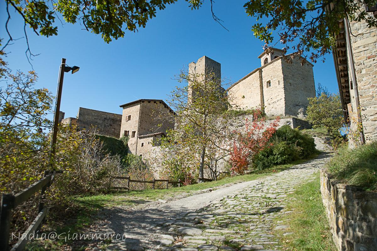 Da Casina al Castello delle Carpinete