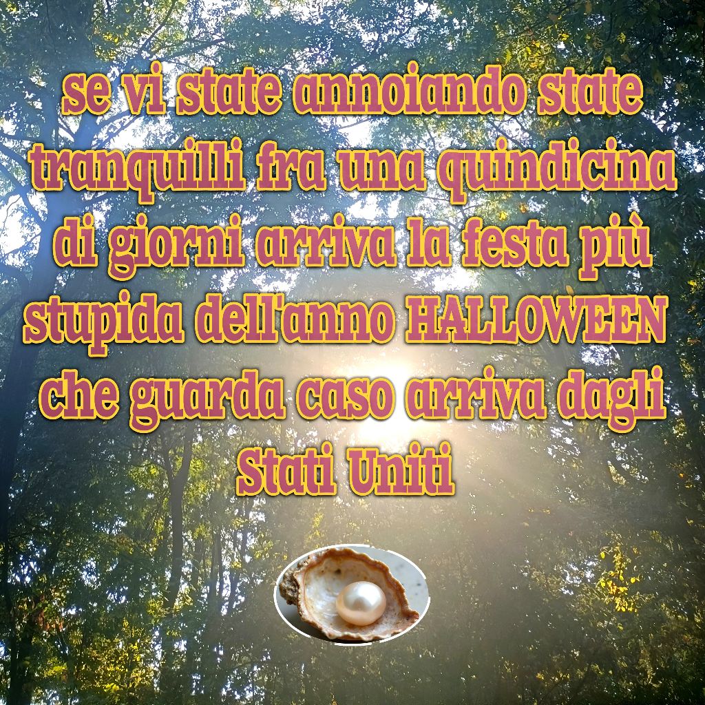 penso medito