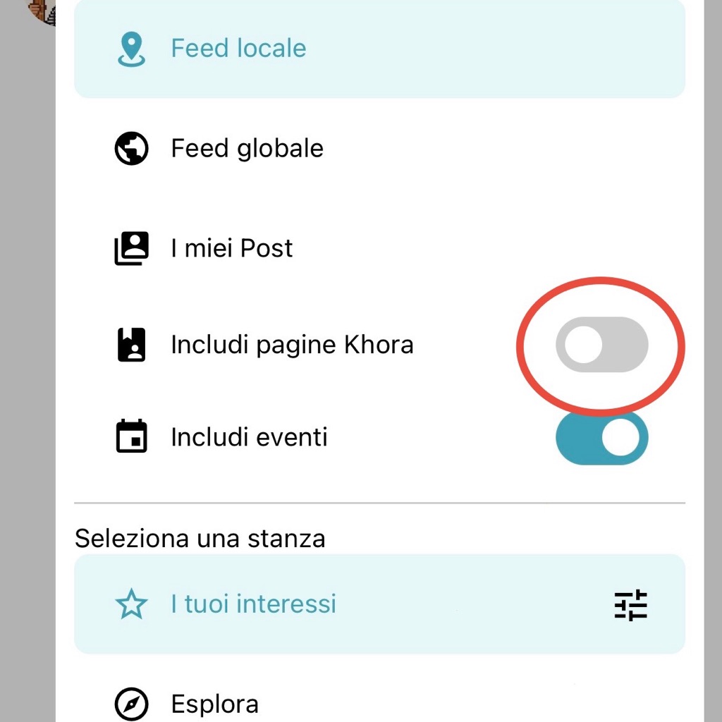 Anteprima post