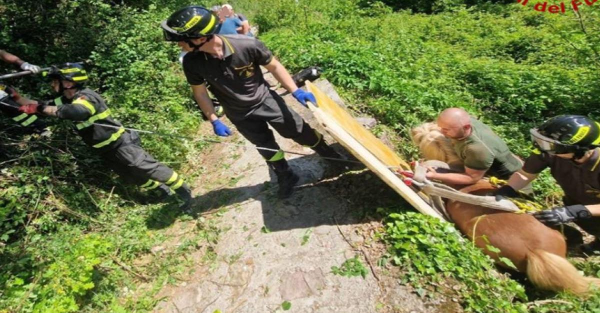 Il pony scivola dal sentiero e resta bloccato: ci devono pensare i vigili del fuoco
